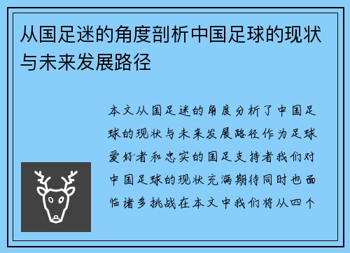从国足迷的角度剖析中国足球的现状与未来发展路径